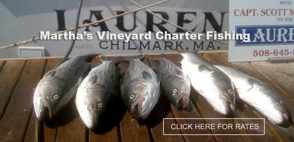 Martha's Vineyard Charter Fishing